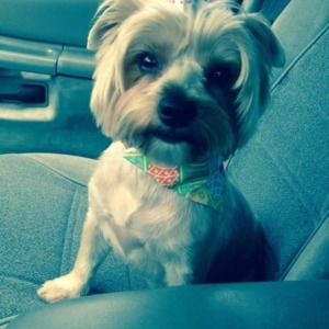 Meet your Posher, Jan